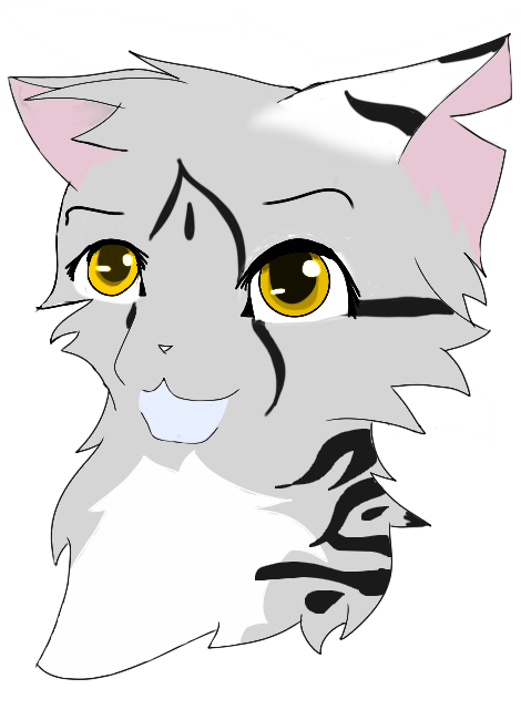 kaile cat form picture