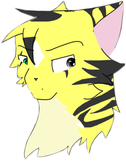 kangbin cat character